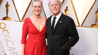 meryl streep don gummer