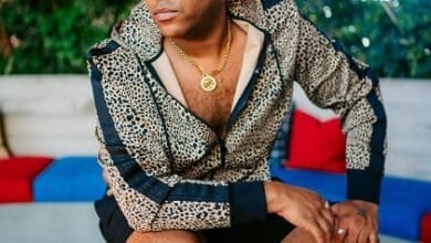 mister lewis lux net worth
