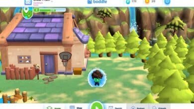 boddle. com