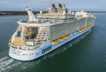 royal caribbean cruise missing person