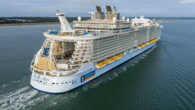 royal caribbean cruise missing person
